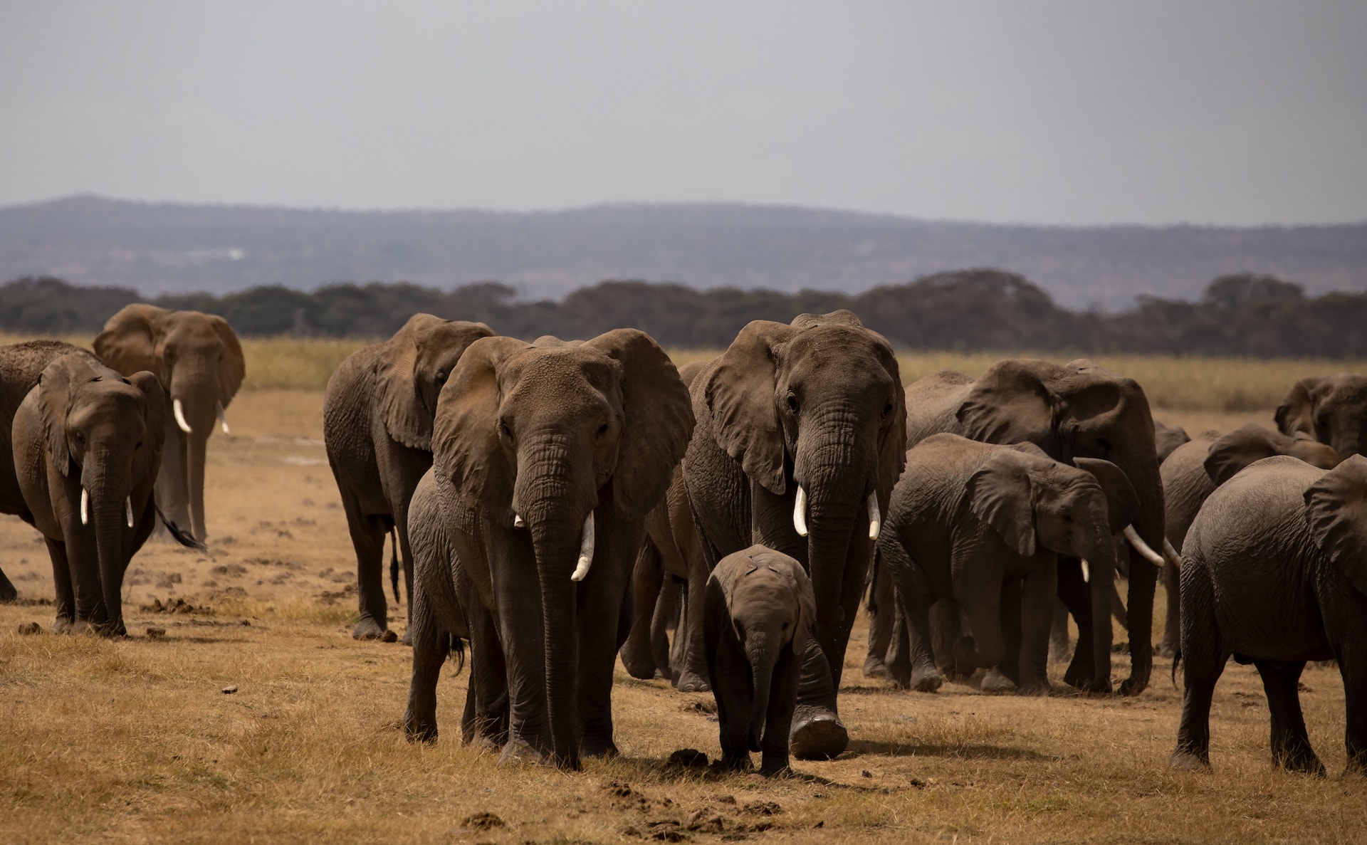 amboseli destination