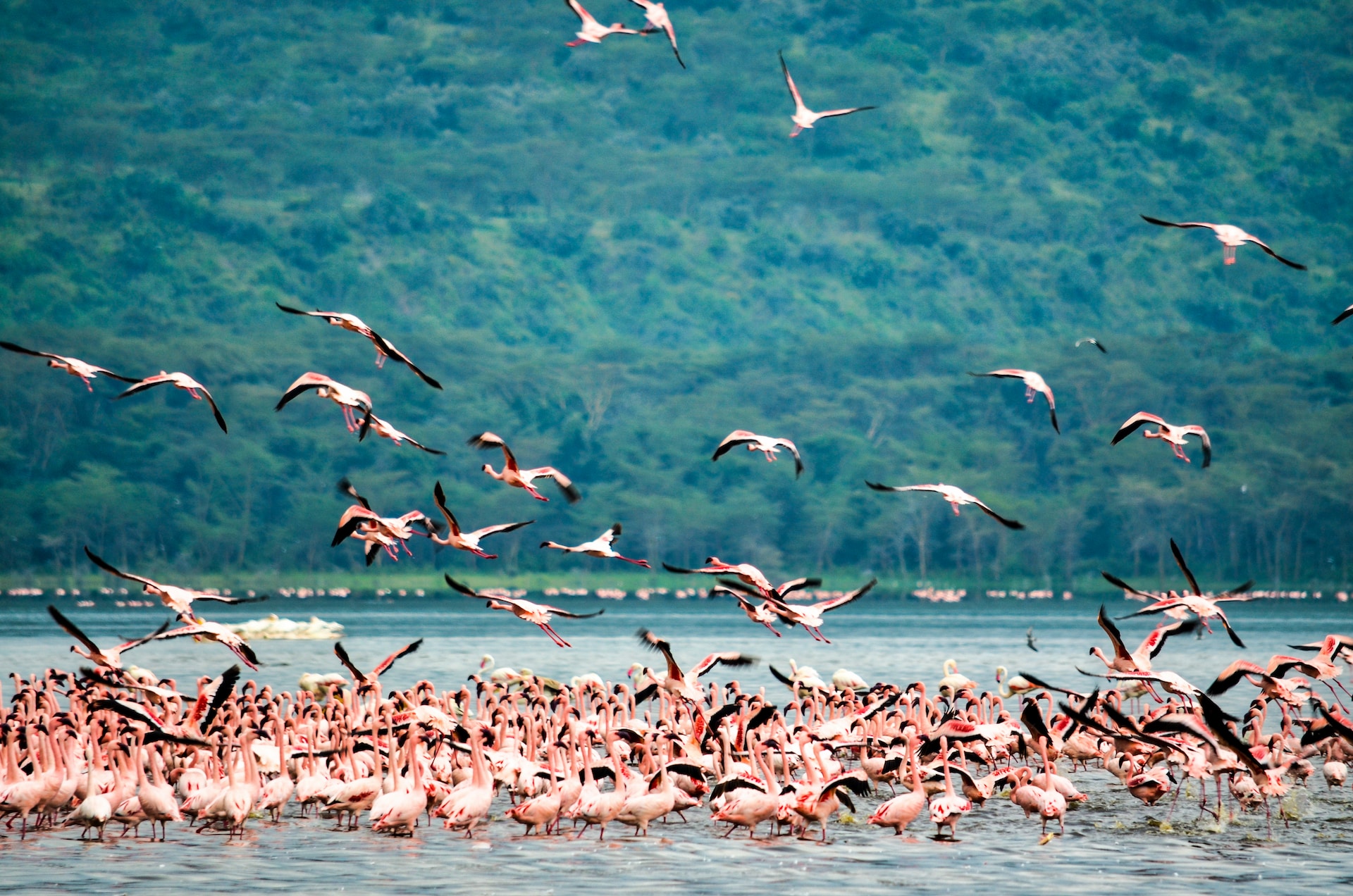 naivasha destination